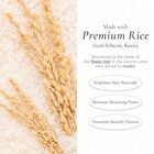Rice Bran Serum - 50ml