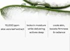glow Aloe Hydrogel Sheet Mask Set - 22g x 3 sheets