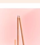 Velvet Lip Pencil Set - 12 Colors - #13 Muted Mauve