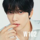 Complete Rise in Temperature Airy Touch Moist Lip Mud - W102 (Premium Edition) - #W102 - 2.1g