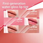 Into You Water Coating Lip Tint - 6 Colors - #CT03 Glazed Orange - 2.6g