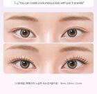 Coringco Toktok-Hara No Glue Eyelash - 12 Types - #13 Maple