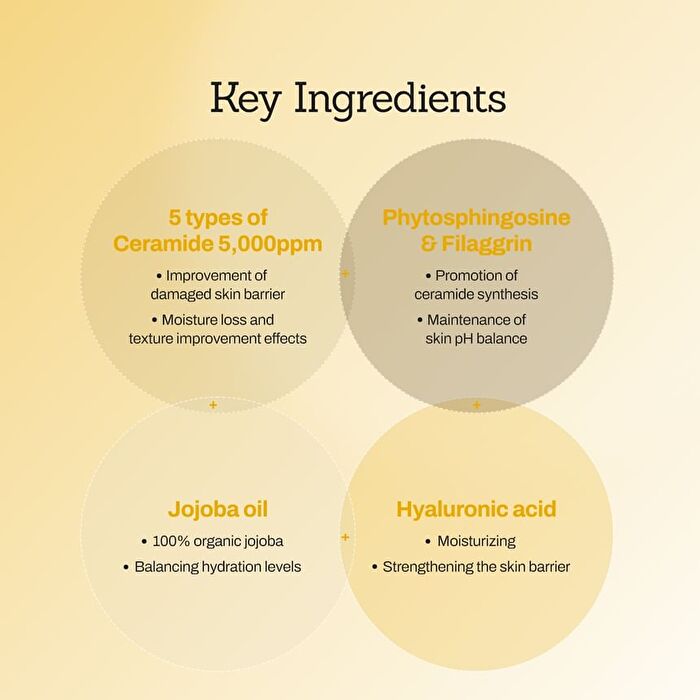 Jojoba Ceramide Barrier Cream - 100ml