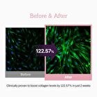 Collagen Peptide 12X Boosting Serum - 30ml