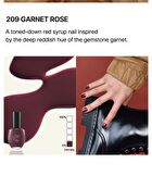 Andante Nail Polish - 13 Colors - #208 Coco