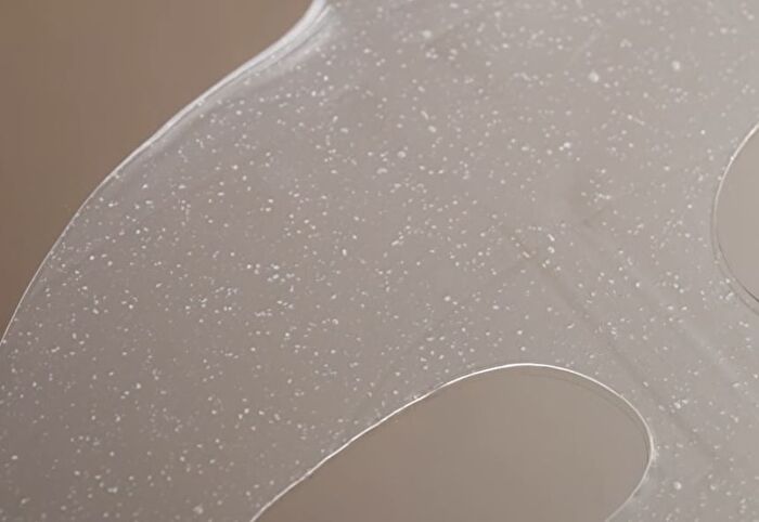 Fully Rice Ceramide Hydrogel Mask Set - 31g x 4 sheets