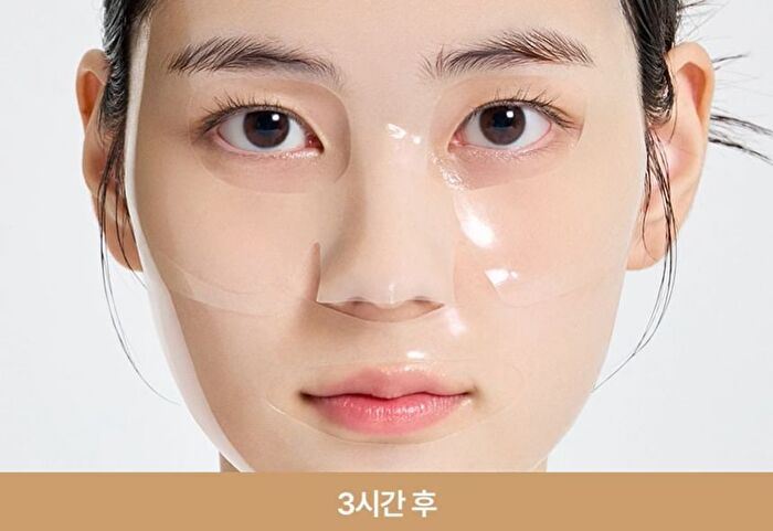 Fully Rice Ceramide Hydrogel Mask Set - 31g x 4 sheets
