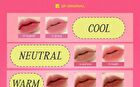 Oh My Tint - OMT10
