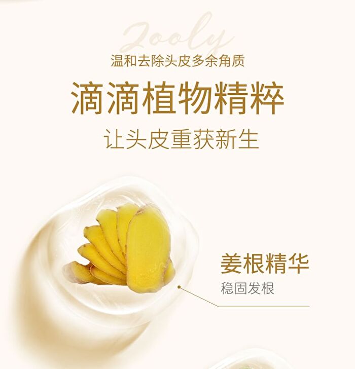 Zooly No.8 Ginger Scalp Soothing Massage Cream (1pc) - 1pc - 25ml