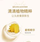 Zooly No.8 Ginger Scalp Soothing Massage Cream (1pc) - 1pc - 25ml
