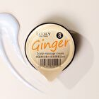 Zooly No.8 Ginger Scalp Soothing Massage Cream (1pc) - 1pc - 25ml