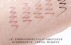 Ultra-Fine Precise Eyeliner Pen - 5 Colors - #02 Nutshell Brown - 600mg