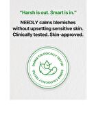 Patch For Blemishes - 24 patches