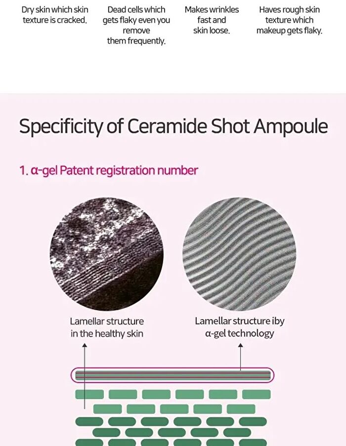 Ceramide Shot Cream  - 2025 Version - 50ml