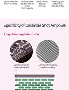 Ceramide Shot Cream  - 2025 Version - 50ml