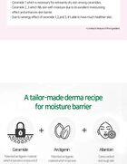 Ceramide Shot Cream  - 2025 Version - 50ml