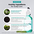 Grafen Root Booster Scalp Enhancing Ampoule - 2025 Version - 50ml