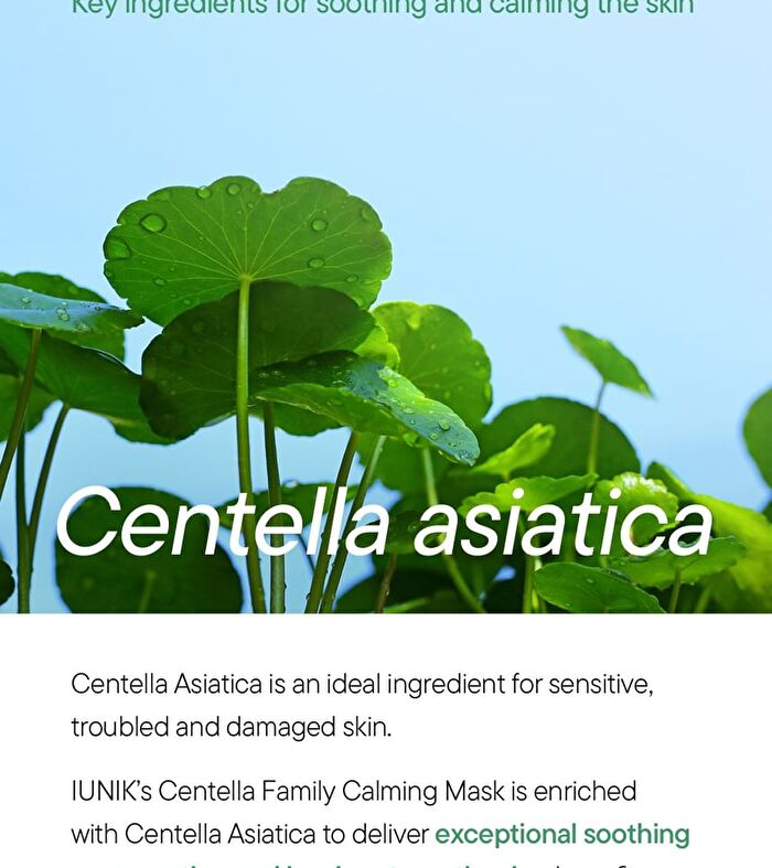 Centella Family Calming Mask - 25ml x 1 sheet