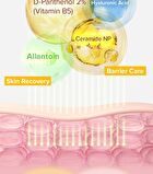 Spicule Retinol PDRN Cream - 15g