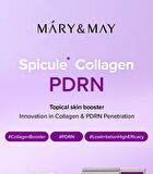 Spicule Collagen PDRN Cream - 15g