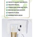 Organic Premium Herbs Toothpaste - 100g