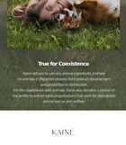 Kaine Vegan Collagen Cream - 2025 Version - 50ml