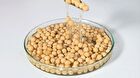 mixsoon Bean Glass Skin Duo Set - 2 pcs