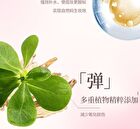 Gogo Tales Essence Air Cushion Cream - 3 Colors - #G03 - 10g*2