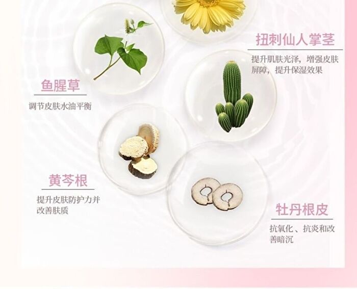 Gogo Tales Essence Air Cushion Cream - 3 Colors - #G03 - 10g*2