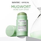 Skintific Mugwort Acne Clay Stick - 40g