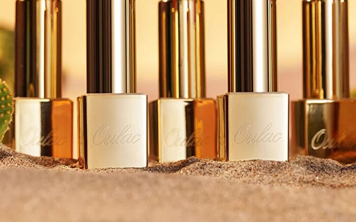 Metallic Shine Lipstick - 39 Colors - #19 Persimmons - 4.3g