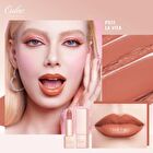 Infinity Moisture Shine Lipstick - 21 Colors - #PG13 Sahara Glow - 4g