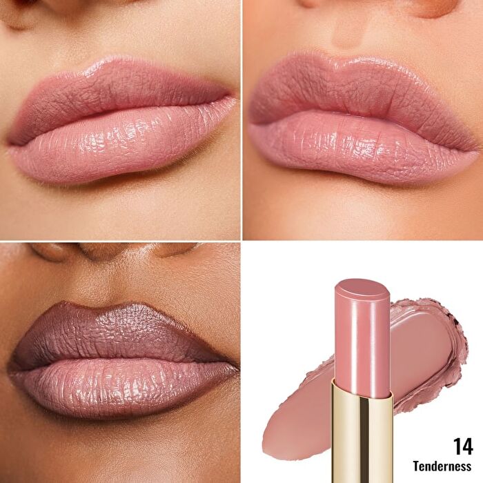 Moisture Shine Lipstick - 26 Colors - #13 Dolce Vita - 2.2g