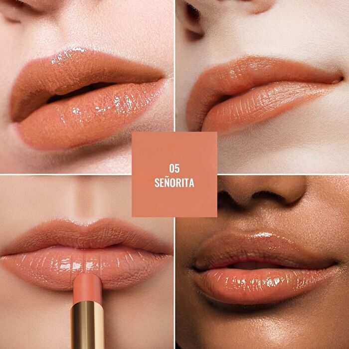 Moisture Shine Lipstick - 26 Colors - #27 Black Mirage - 2.2g