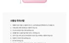 Creamy Blusher Brush 888 Set - 2 pcs