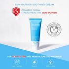 Skin Barrier Soothing Cream - 45g