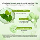 Isoi Heartleaf Pore Mask - 23ml x 1 sheet