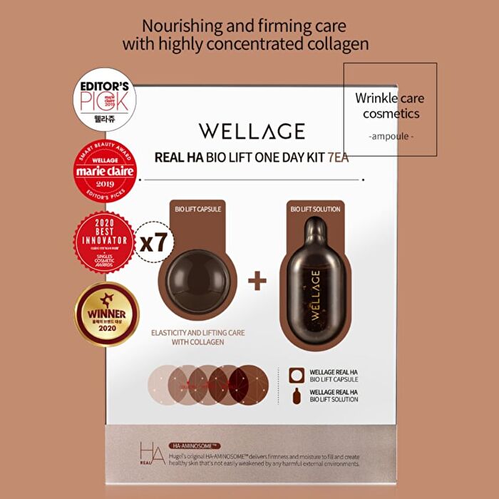 Wellage Real Gold Collagen One Day Kit - 1 set