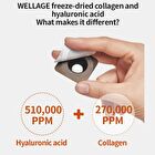 Wellage Real Gold Collagen One Day Kit - 1 set