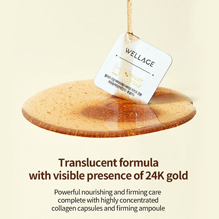 Wellage Real Gold Collagen One Day Kit - 1 set