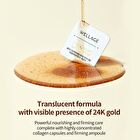 Wellage Real Gold Collagen One Day Kit - 1 set