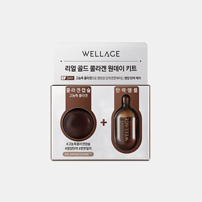 Wellage Real Gold Collagen One Day Kit - 1 set