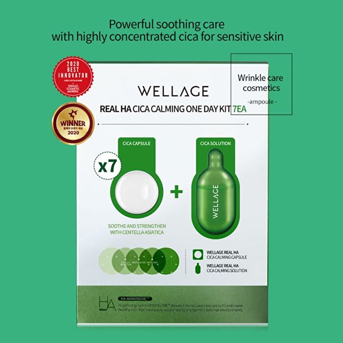Wellage Real Cica Calming One Day Kit - 1 set