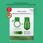 Wellage Real Cica Calming One Day Kit - 1 set