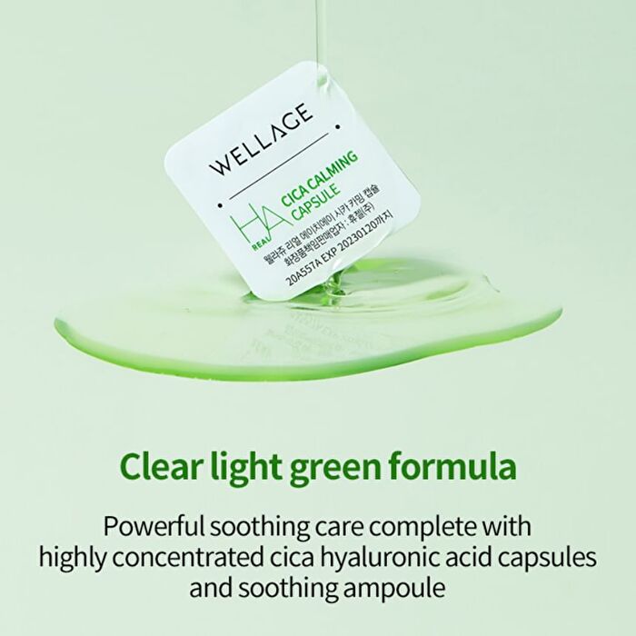 Wellage Real Cica Calming One Day Kit - 1 set