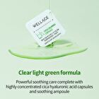 Wellage Real Cica Calming One Day Kit - 1 set