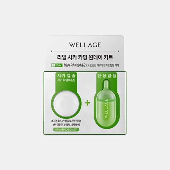 Wellage Real Cica Calming One Day Kit - 1 set