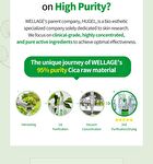 Wellage Real Cica Calming 95 Trouble Ampoule - 50ml