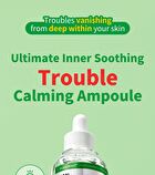 Wellage Real Cica Calming 95 Trouble Ampoule - 50ml