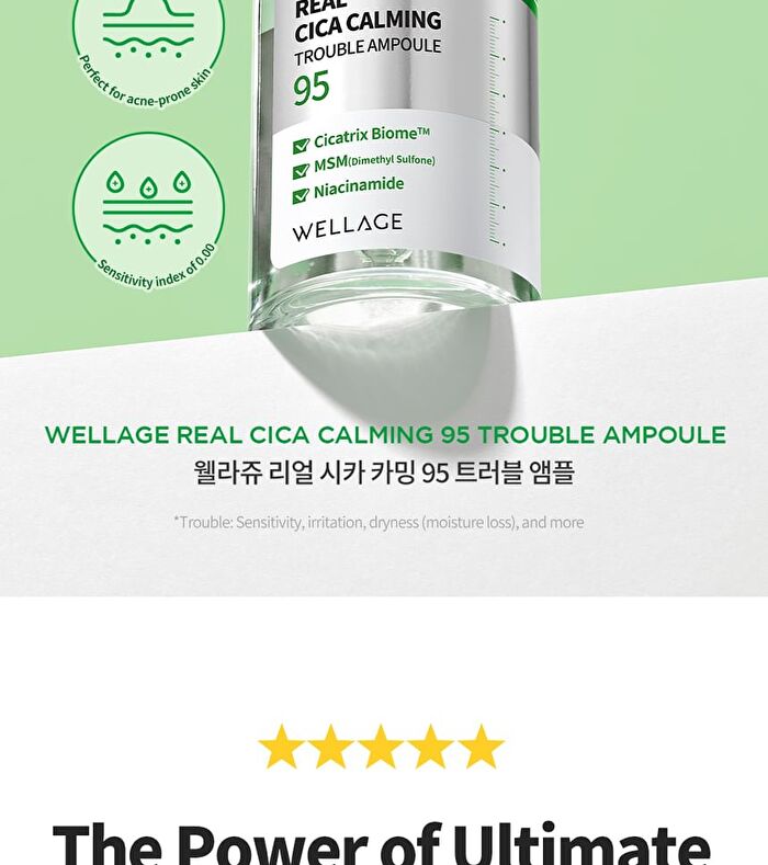 Wellage Real Cica Calming 95 Trouble Ampoule - 50ml